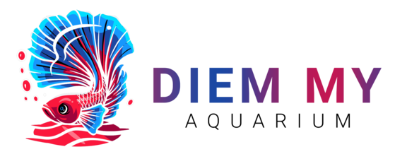 Đồ Dỏm